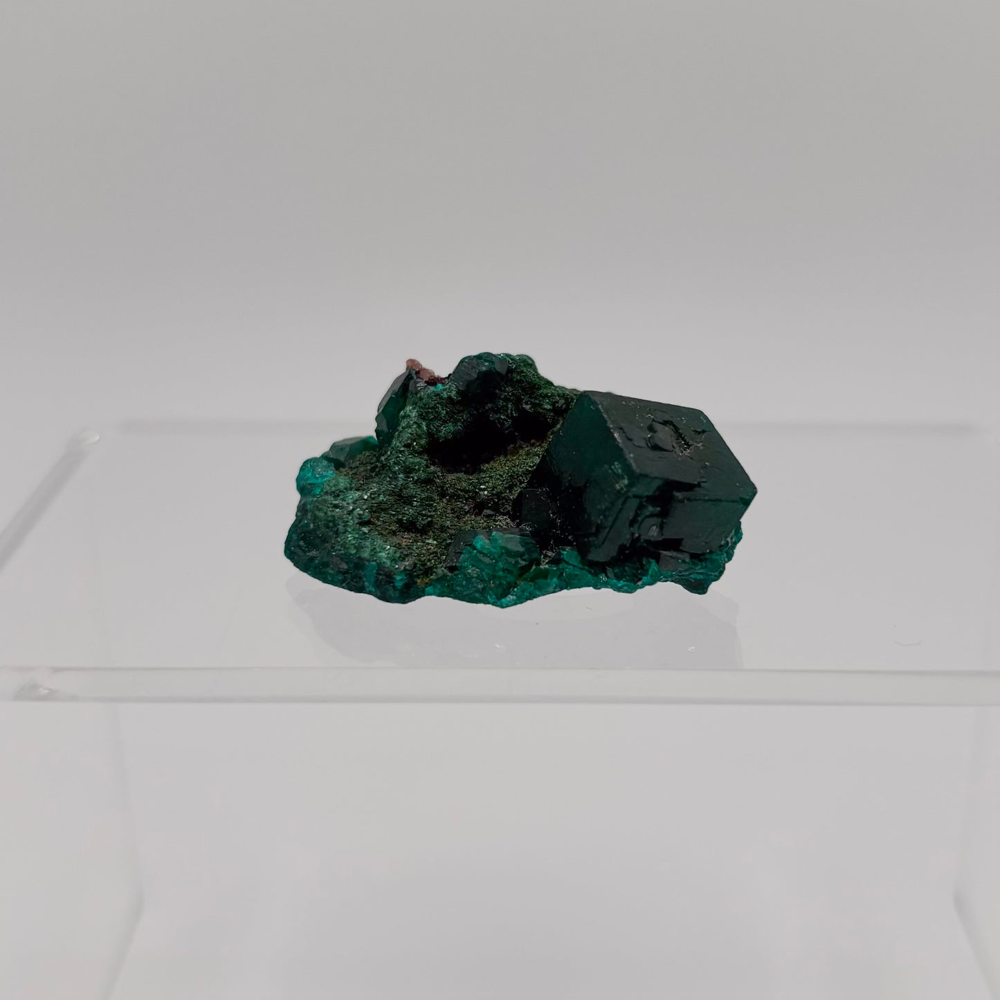 Congo Dioptase