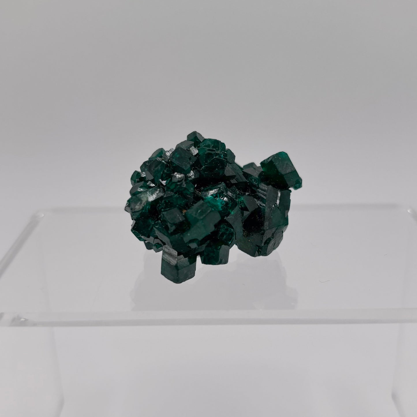 Congo Dioptase