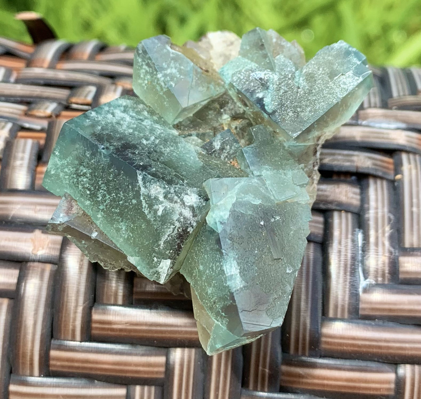 Lady Annabella Fluorite