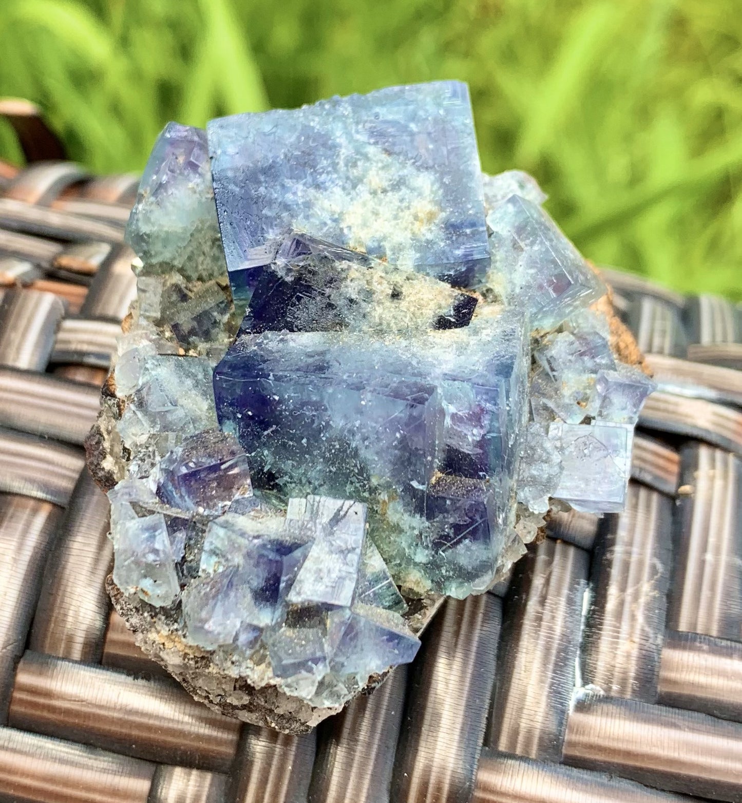 Lady Annabella Fluorite