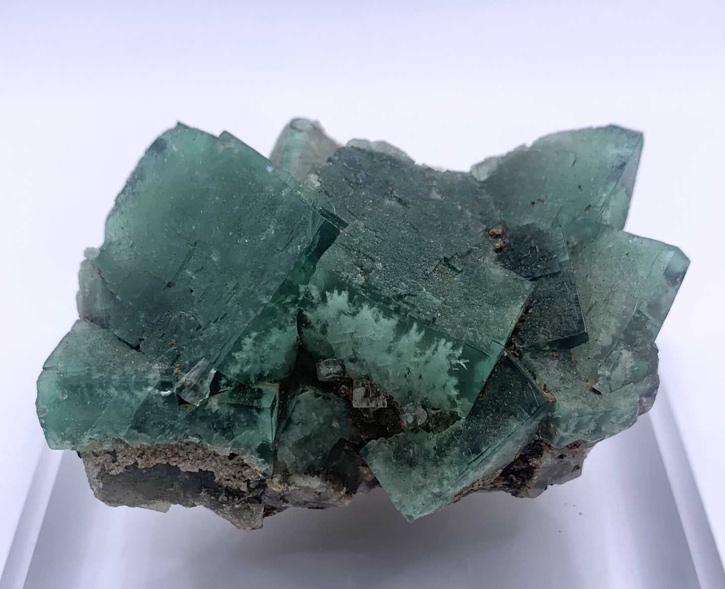 Lady Annabella Fluorite