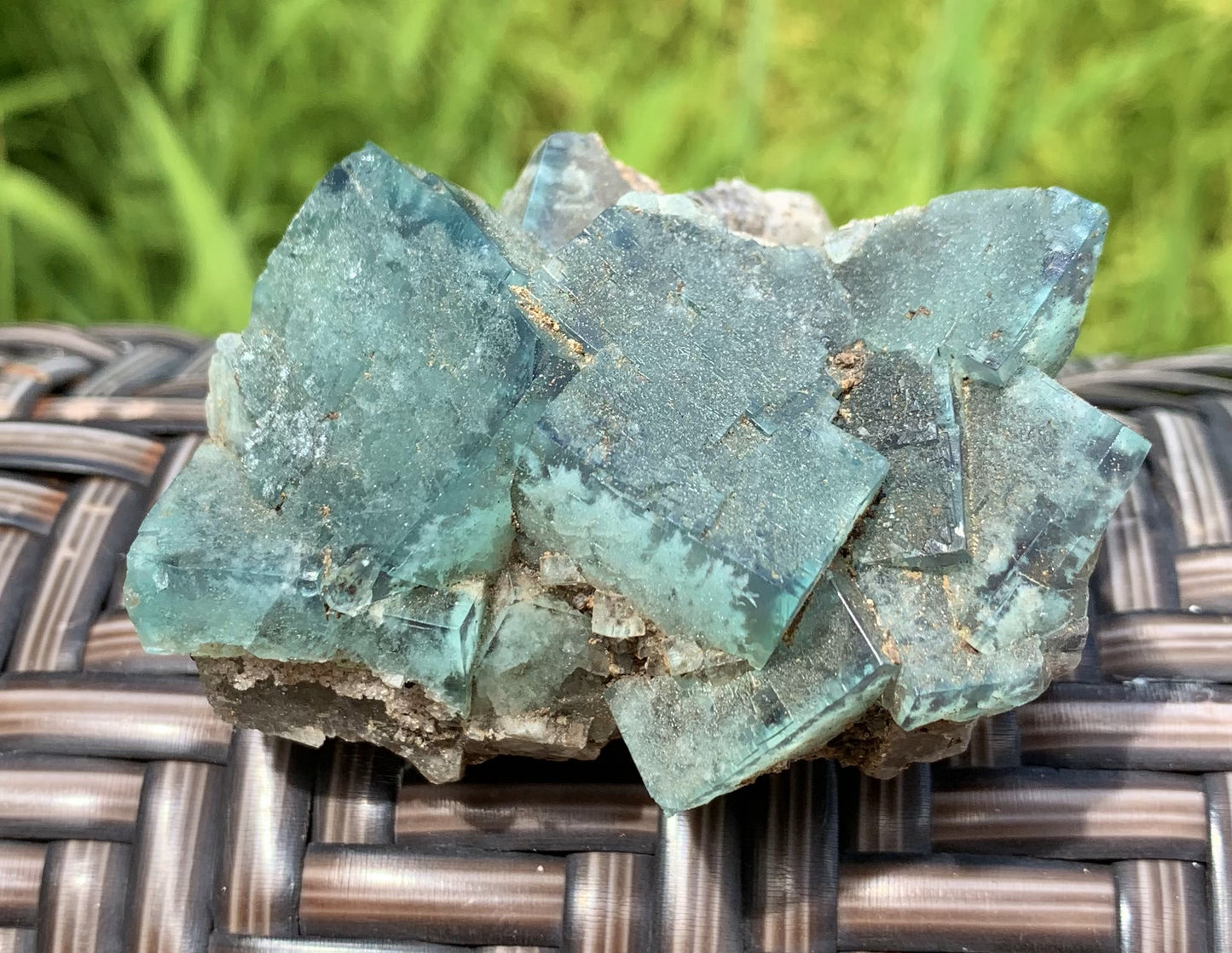 Lady Annabella Fluorite