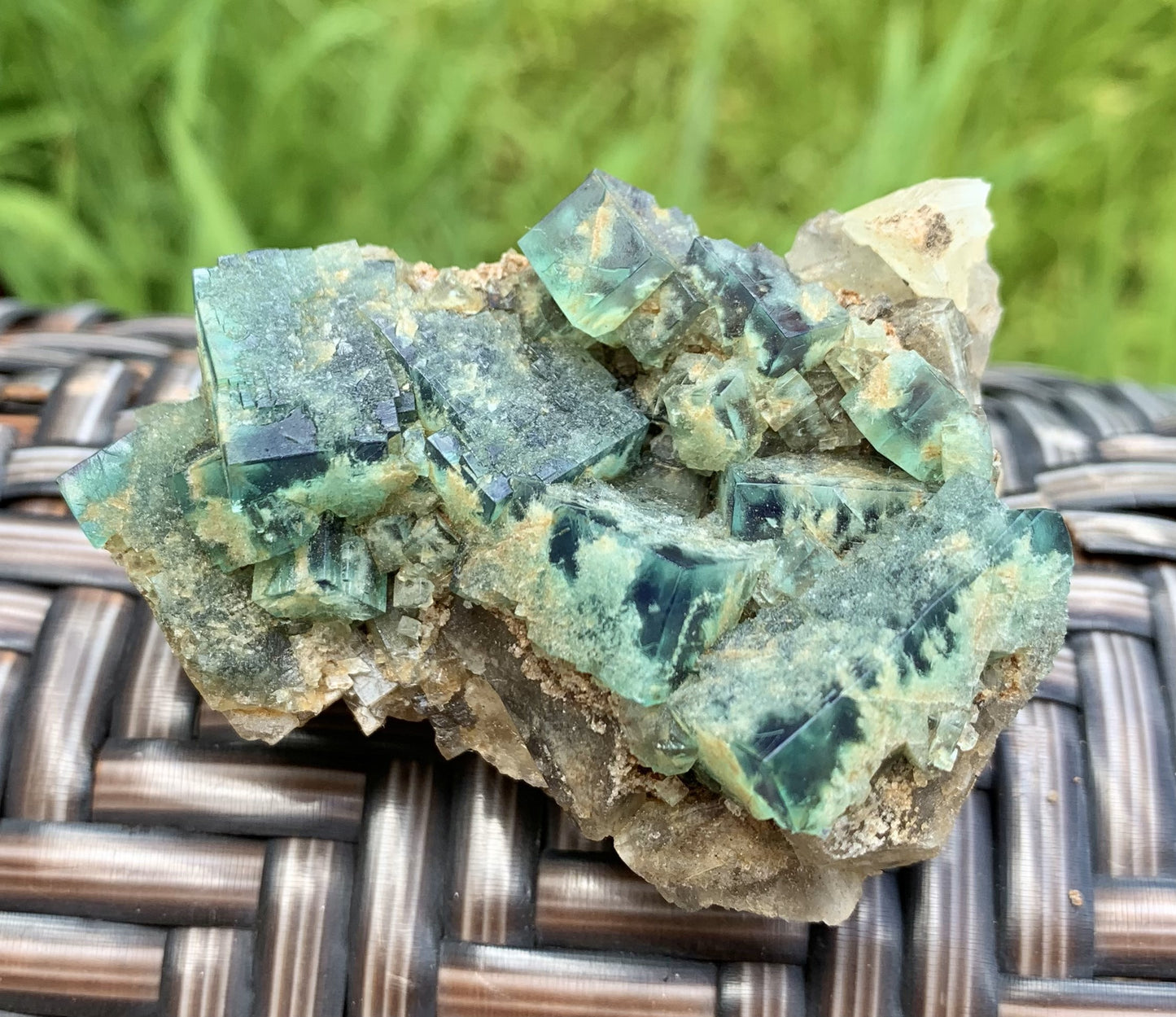 Lady Annabella Fluorite