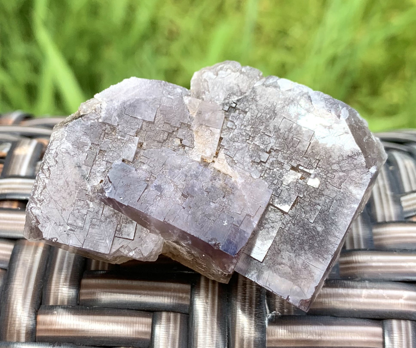 Lady Annabella Fluorite