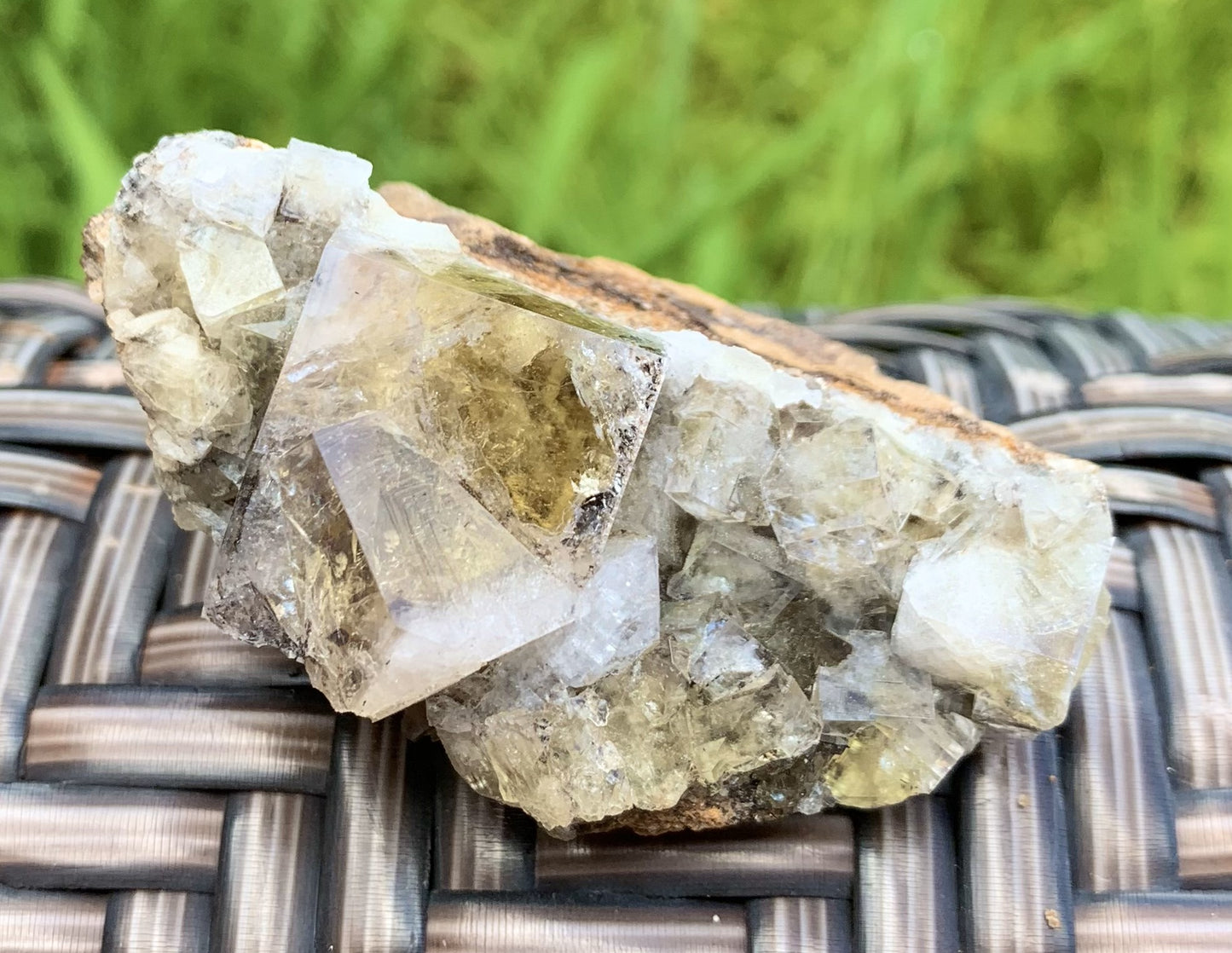 Lady Annabella Fluorite