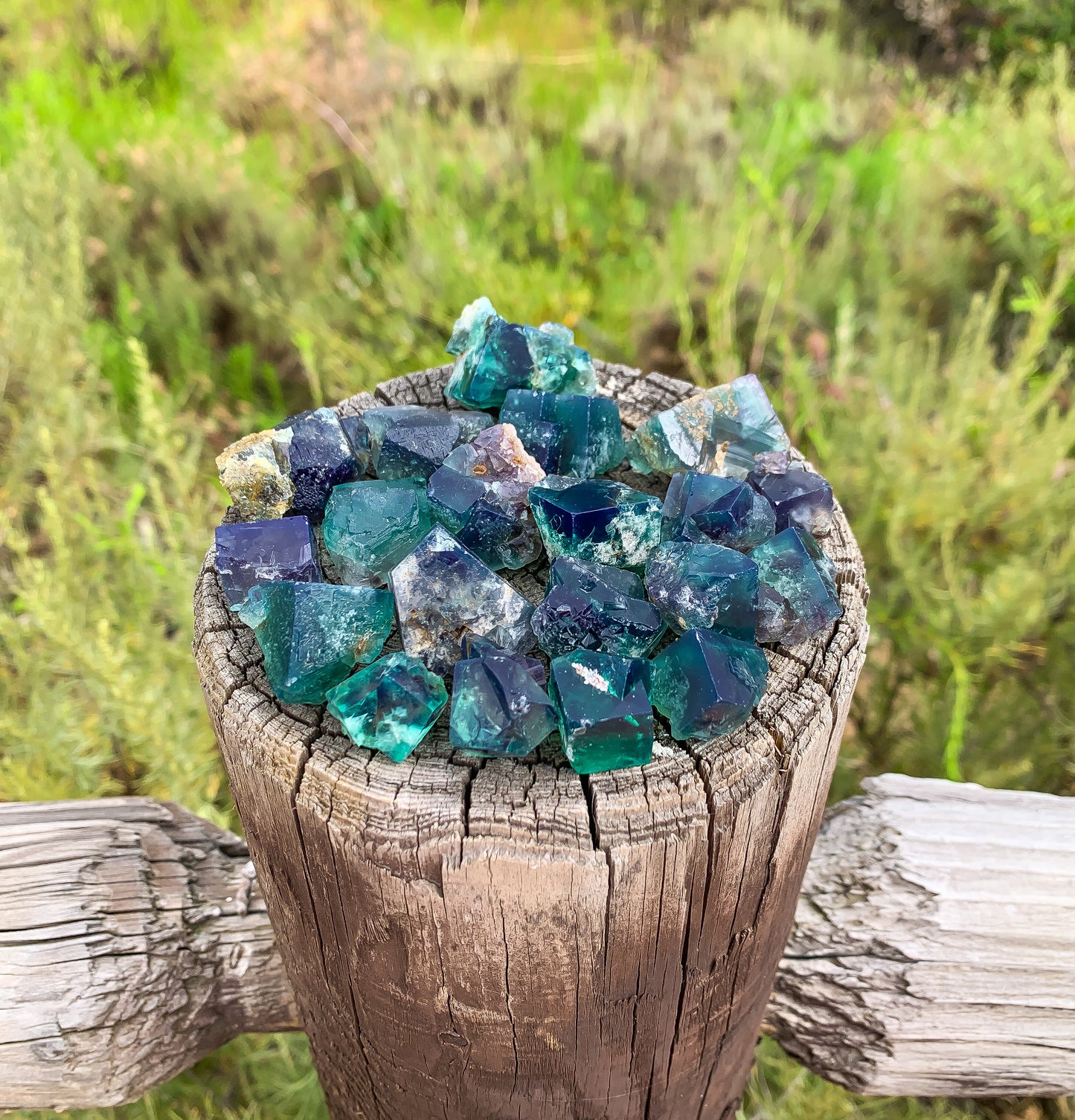 Rogerley Fluorite