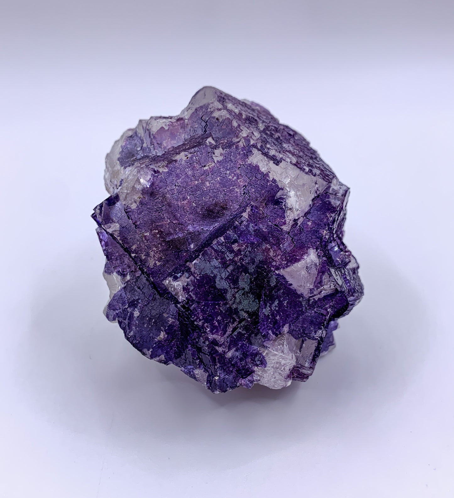 Mina el Tule Fluorite