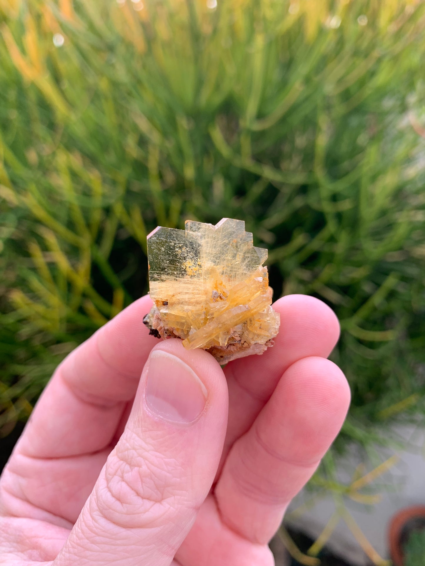 Barite