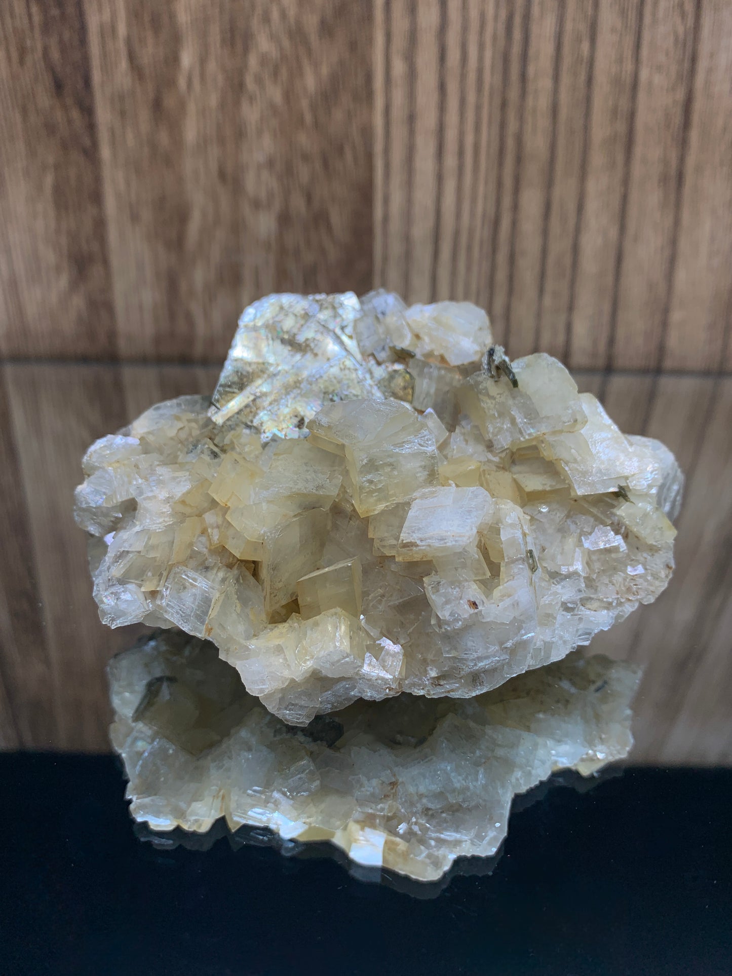 Calcite with Mica Combo Specimens (XL)