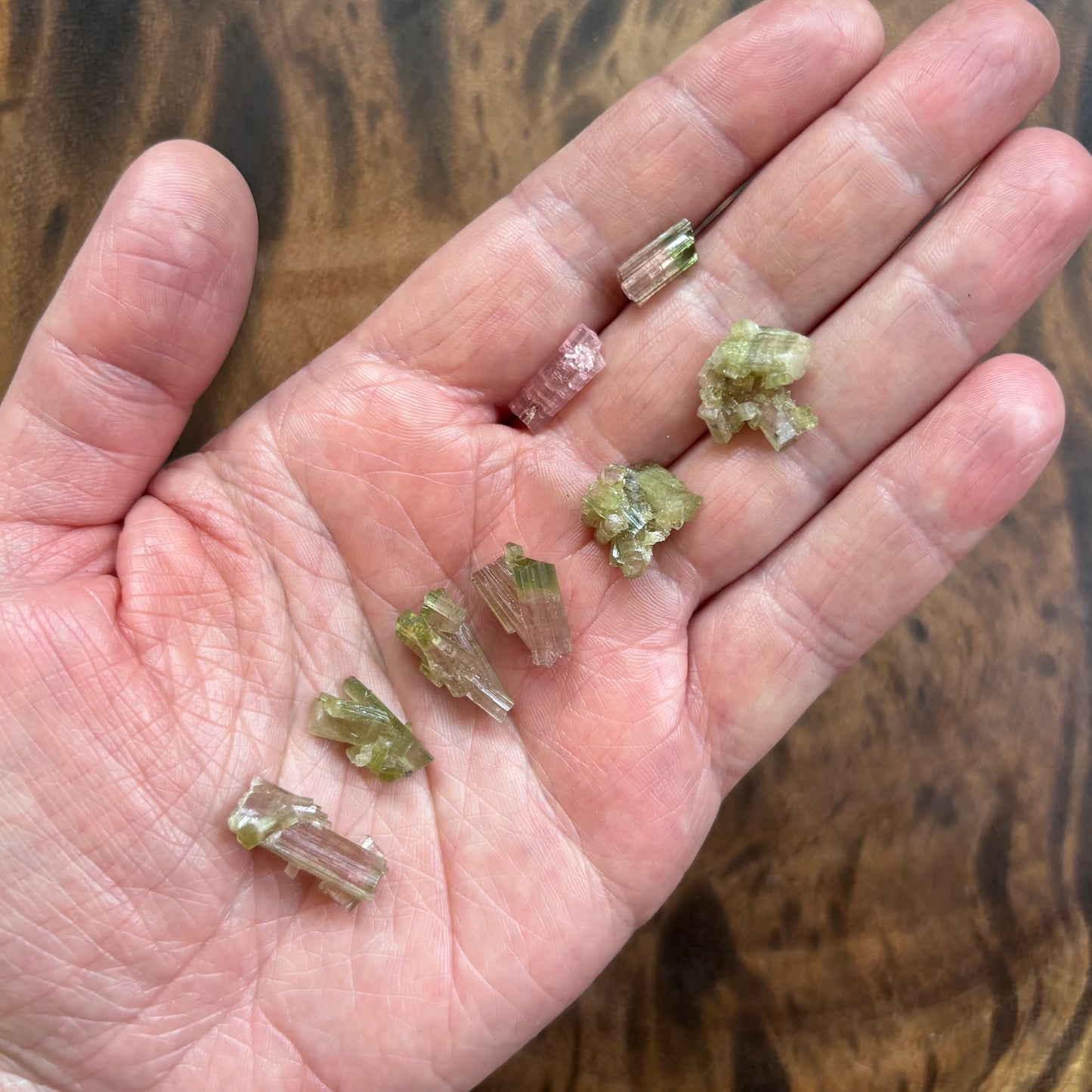 Bicolor Tourmaline Clusters