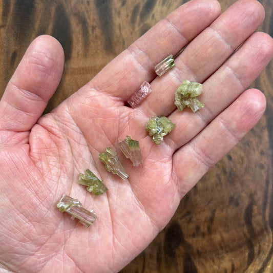 Bicolor Tourmaline Clusters