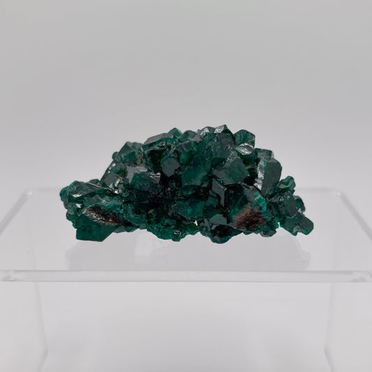 Congo Dioptase