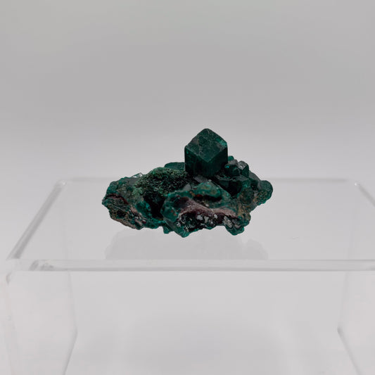 Congo Dioptase