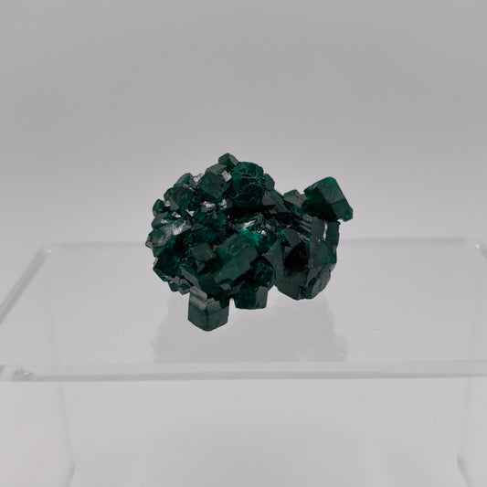 Congo Dioptase