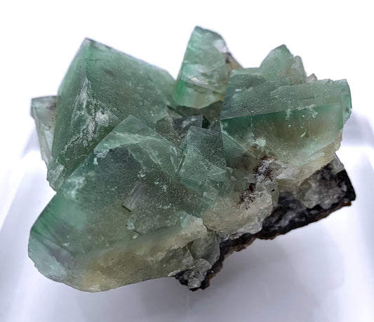 Lady Annabella Fluorite