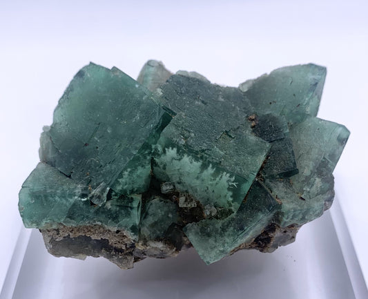 Lady Annabella Fluorite