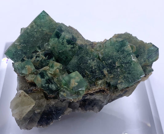 Lady Annabella Fluorite