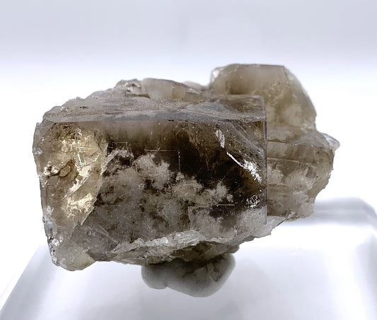 Lady Annabella Fluorite